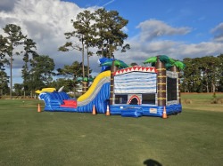 20241101 165125 1731696738 Shark Bounce House - $385 Overnight Rental