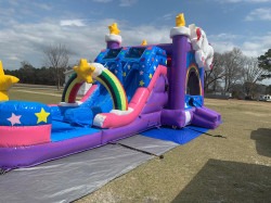 276988983 1865156517027315 630319990227067788 n 22f24a0b a907 47d3 1 Unicorn Bounce Dual Lane Slide - $390 Overnight Rental