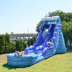 Dolphin202 1732031513 21 FT Dolphin Slide - $415 Overnight Rental