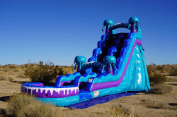 Electric202 1732031081 (A) ELECTRIC 21 FT SLIDE - $415 Overnight Rental