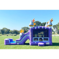 Thunder203 1731955372 Thunder Bounce House - $385 Overnight Rental