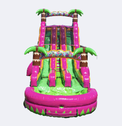 Screenshot202025 11 2120at209.16.32AM 1763735479 22FT Magenta Dual Lane Slide - $415 Overnight Rental